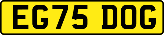 EG75DOG