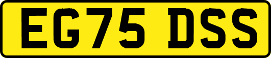 EG75DSS
