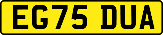 EG75DUA