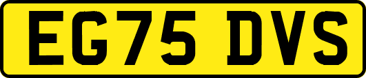 EG75DVS