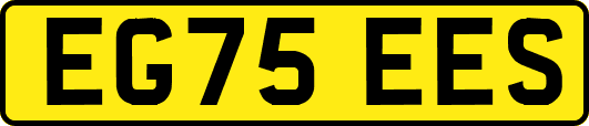 EG75EES