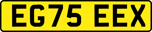 EG75EEX