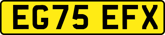 EG75EFX