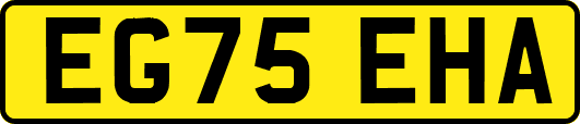 EG75EHA