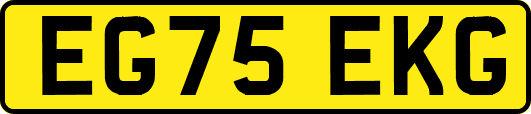 EG75EKG