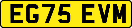 EG75EVM