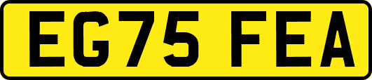 EG75FEA