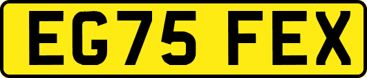 EG75FEX