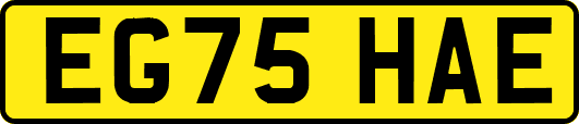 EG75HAE