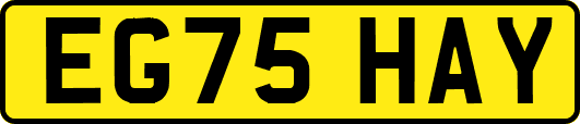 EG75HAY