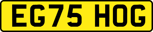 EG75HOG