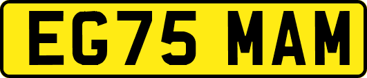 EG75MAM