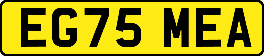 EG75MEA
