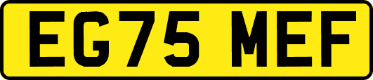 EG75MEF