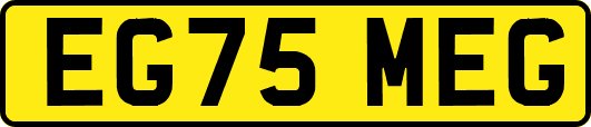 EG75MEG