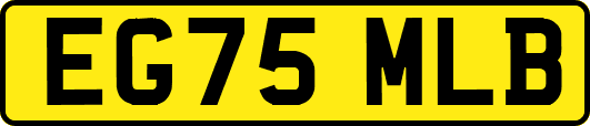 EG75MLB