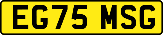 EG75MSG