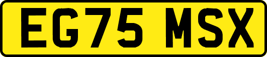 EG75MSX