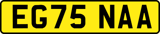 EG75NAA