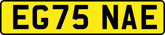 EG75NAE
