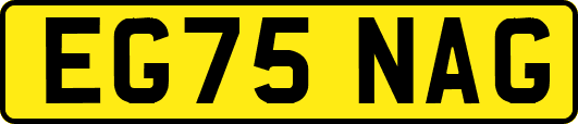EG75NAG