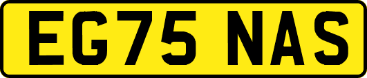 EG75NAS