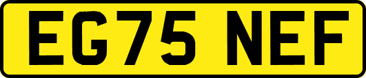 EG75NEF