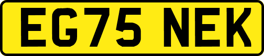 EG75NEK
