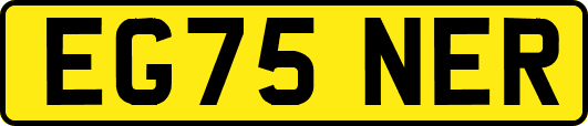 EG75NER