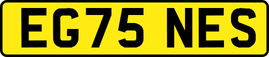 EG75NES