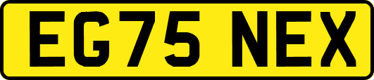 EG75NEX