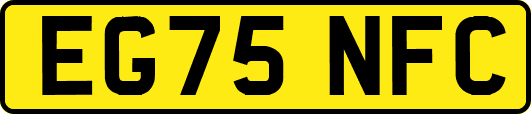 EG75NFC