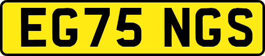 EG75NGS