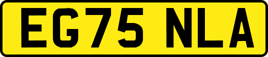 EG75NLA