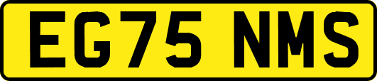 EG75NMS