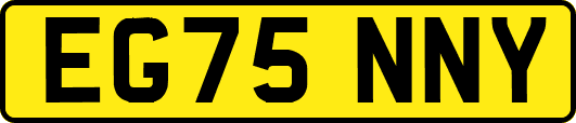 EG75NNY