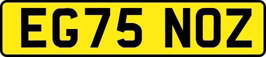 EG75NOZ