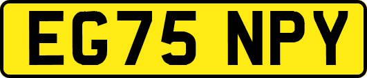 EG75NPY