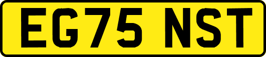 EG75NST