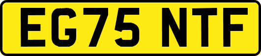 EG75NTF