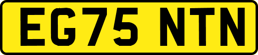 EG75NTN