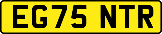 EG75NTR