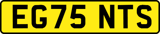EG75NTS