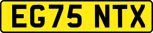 EG75NTX