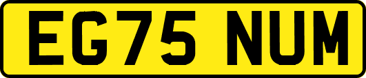 EG75NUM