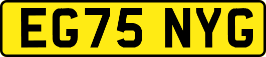 EG75NYG