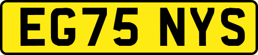 EG75NYS