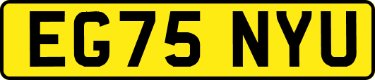 EG75NYU