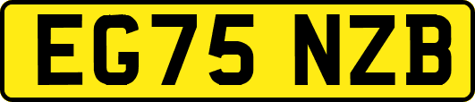 EG75NZB