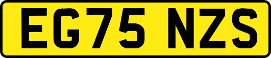 EG75NZS